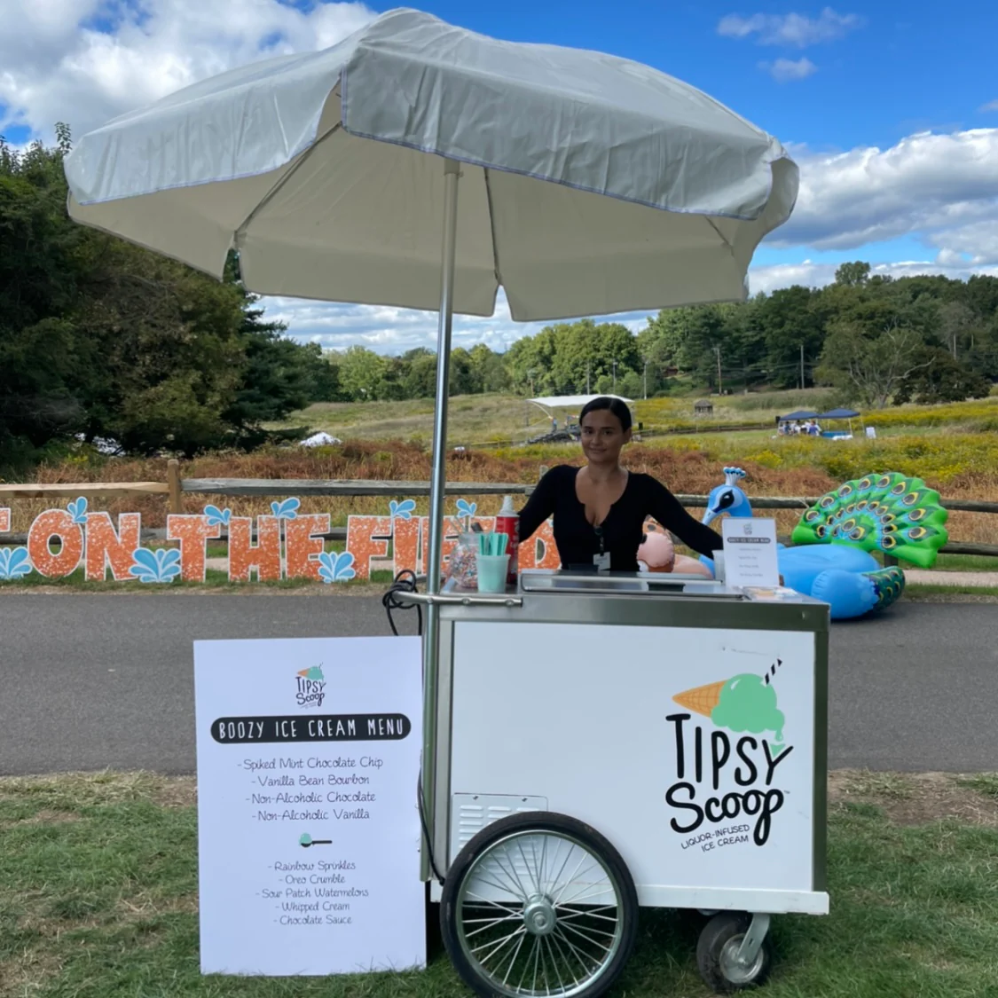 Boozy Ice Cream Catering Set Up - Image 5